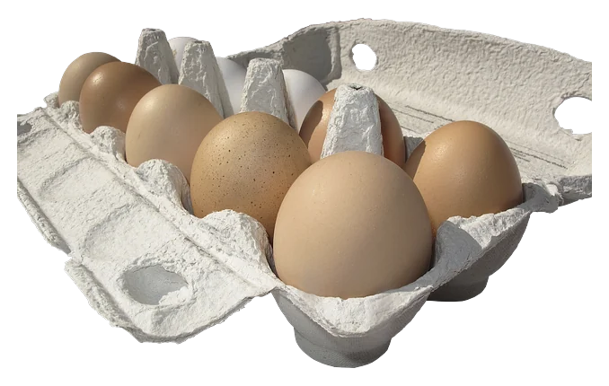 Farm eggs